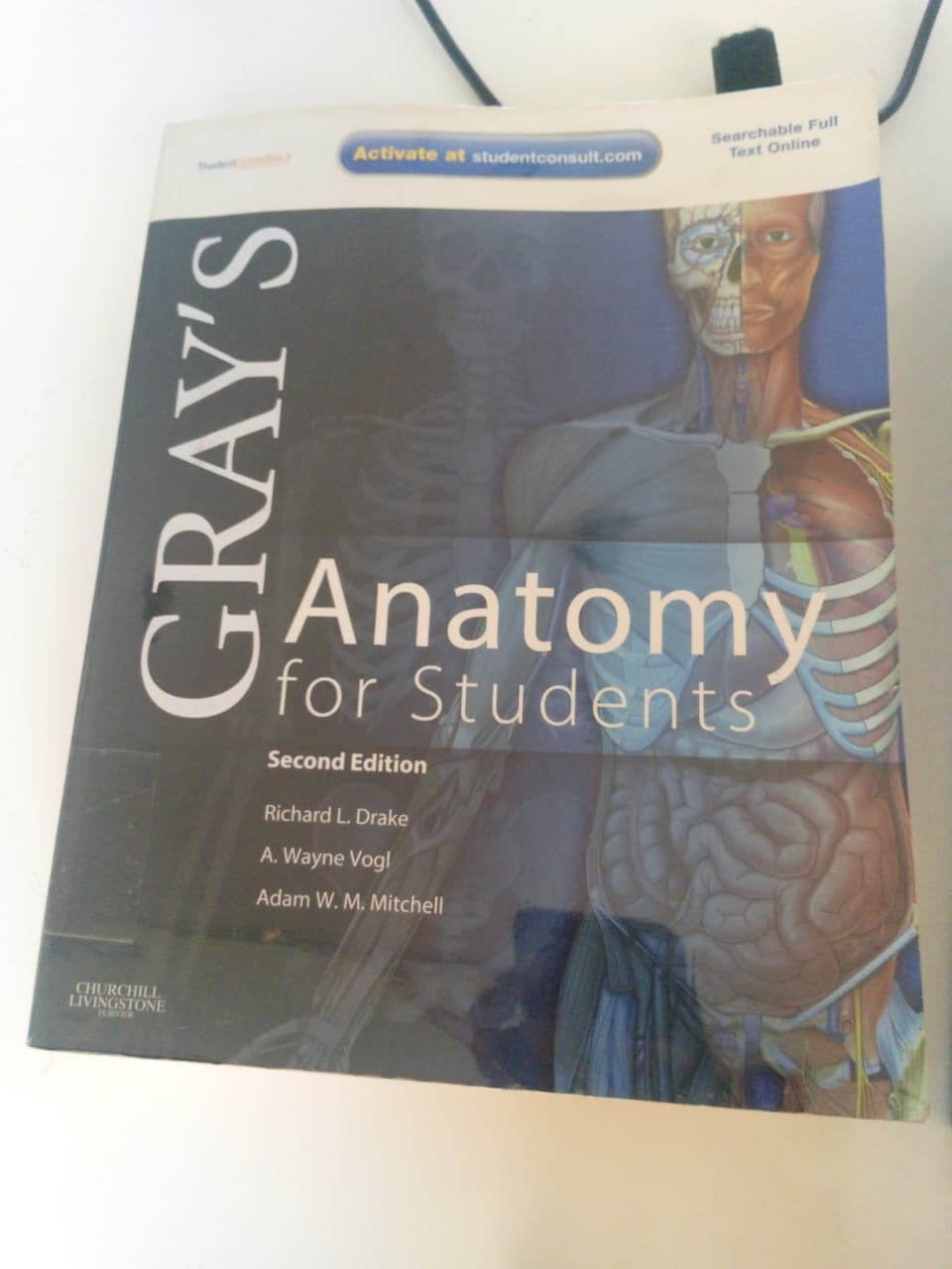 Grany,S Anatomy For Students