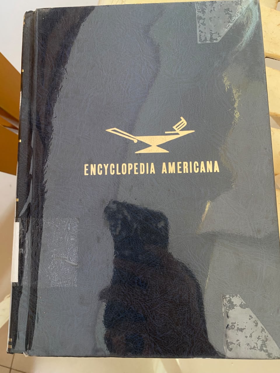 Encyclopedia Americana Vol 13