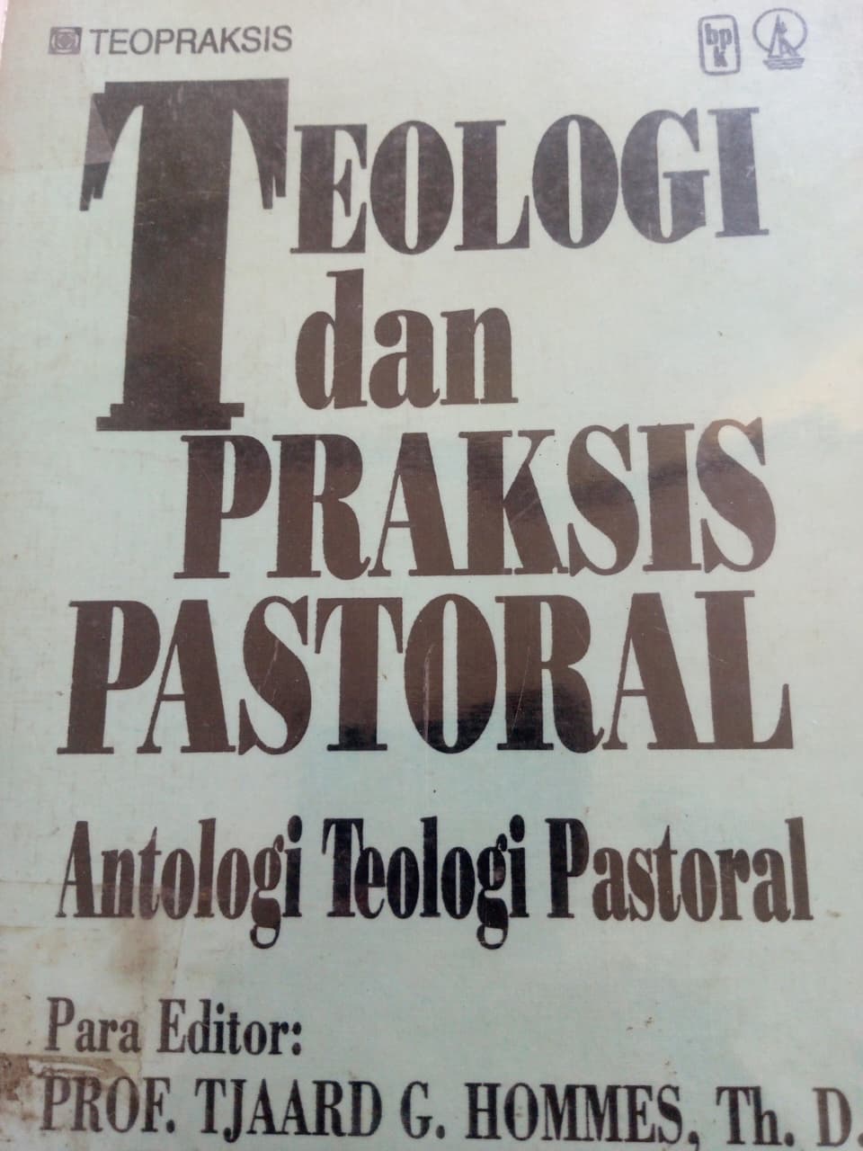 Teologi Dan Praksis Pastoral