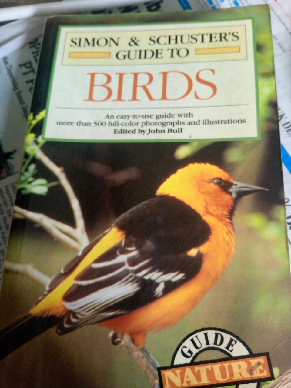 Birds