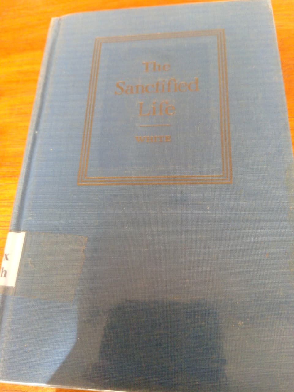 The Sanctified  Life