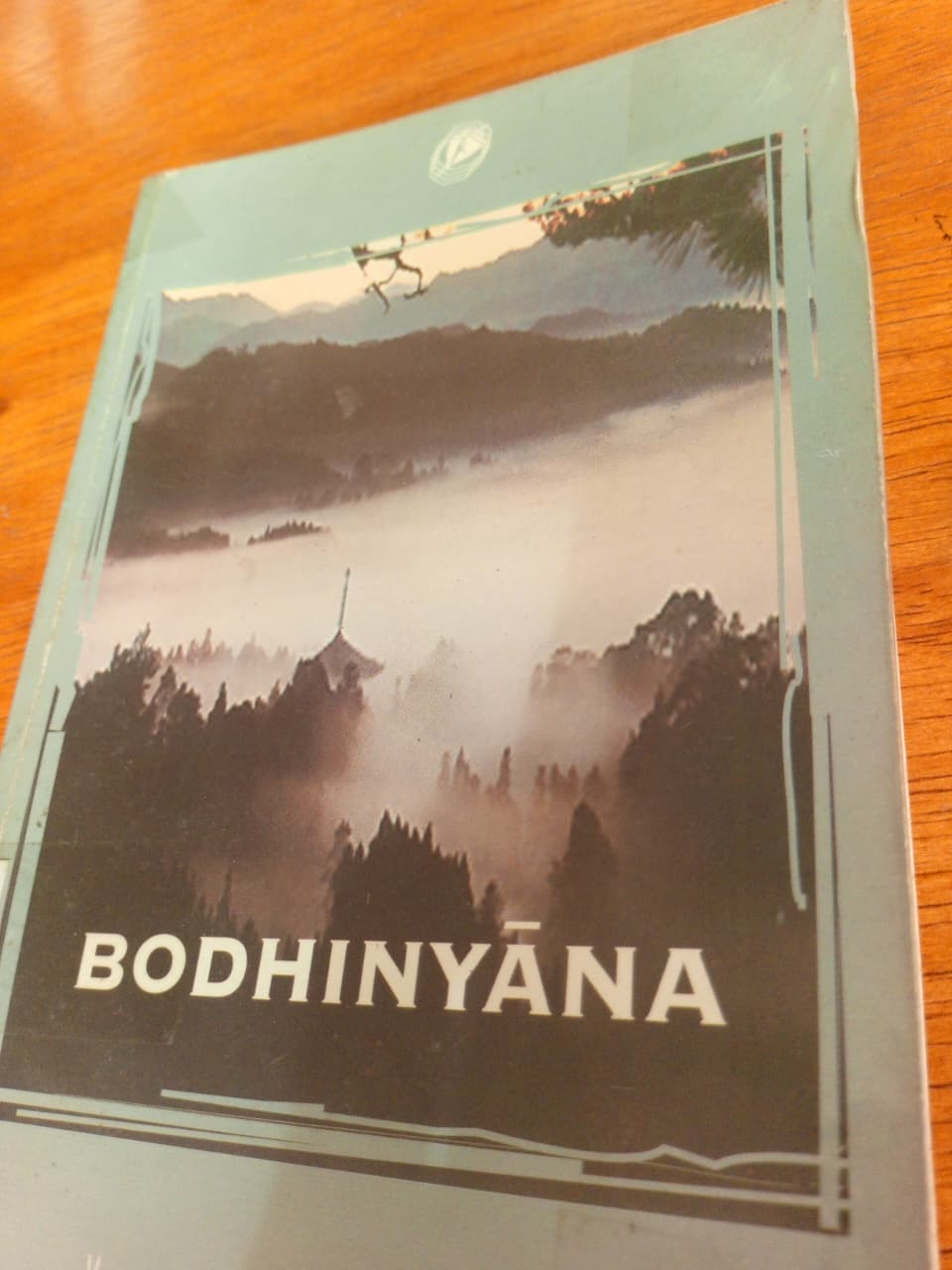 Bodohinyana