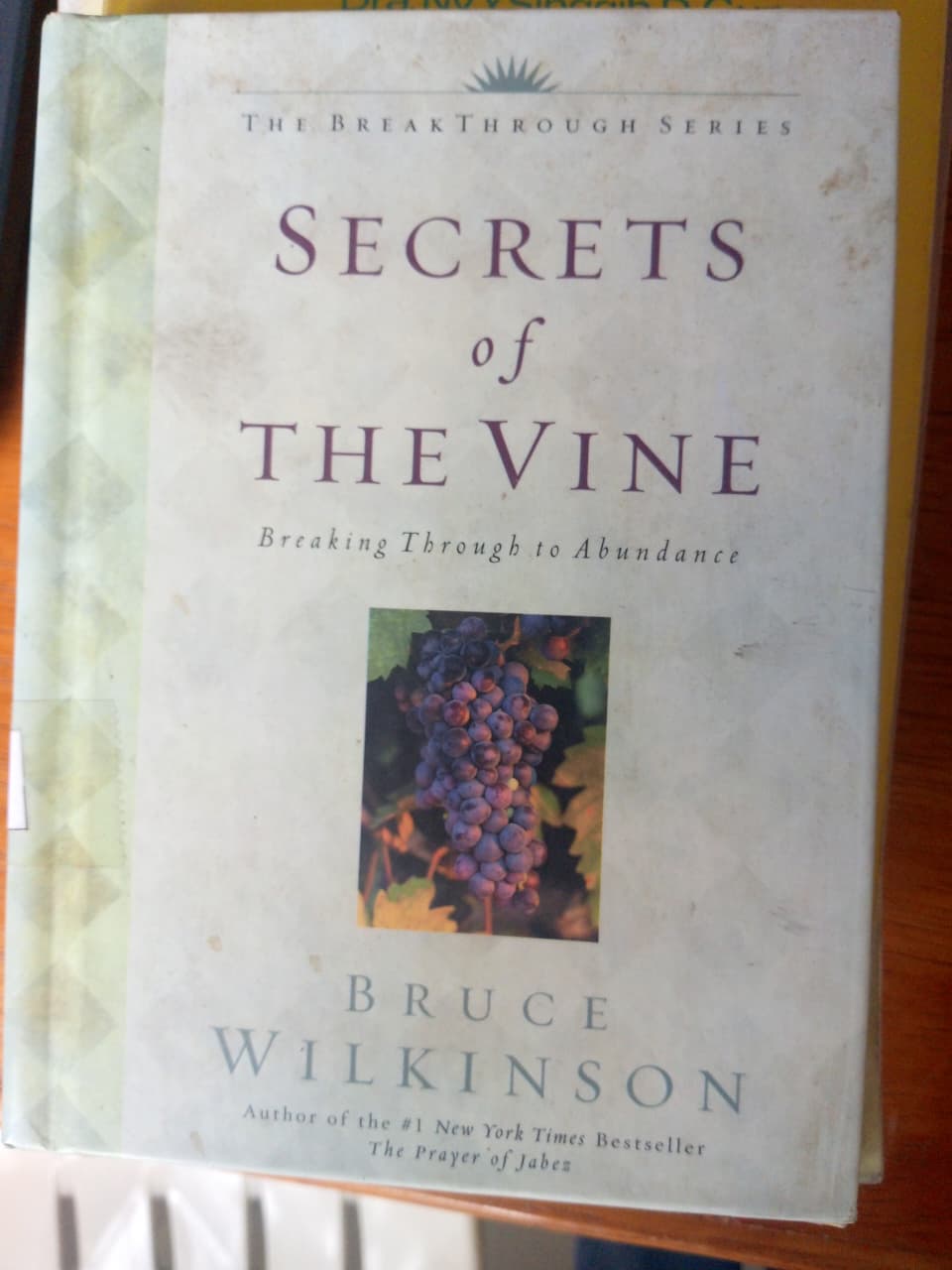 Secrets Of The Vine