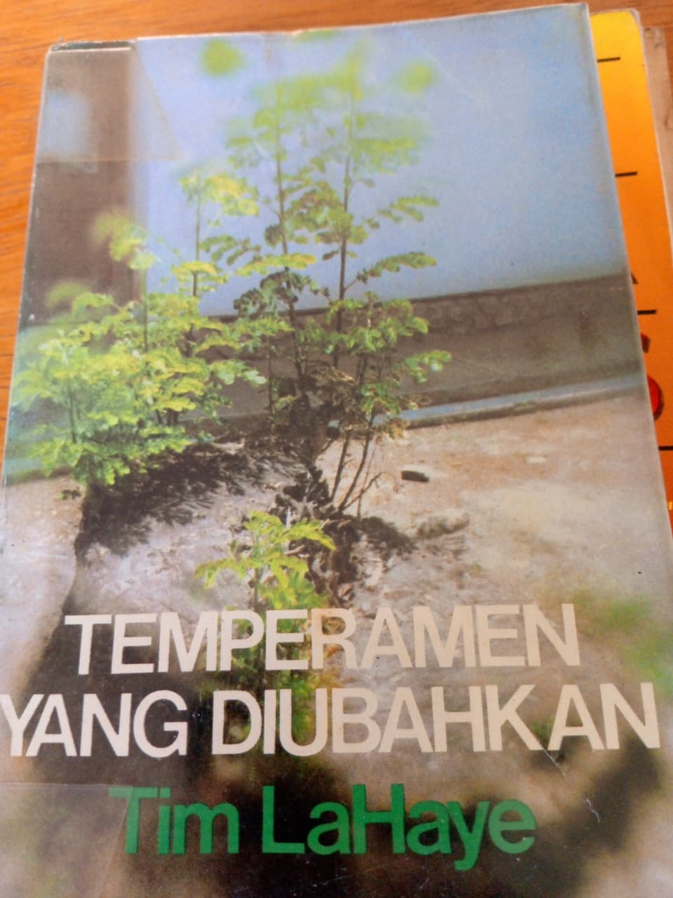 Temperamen Yang Diubahkan