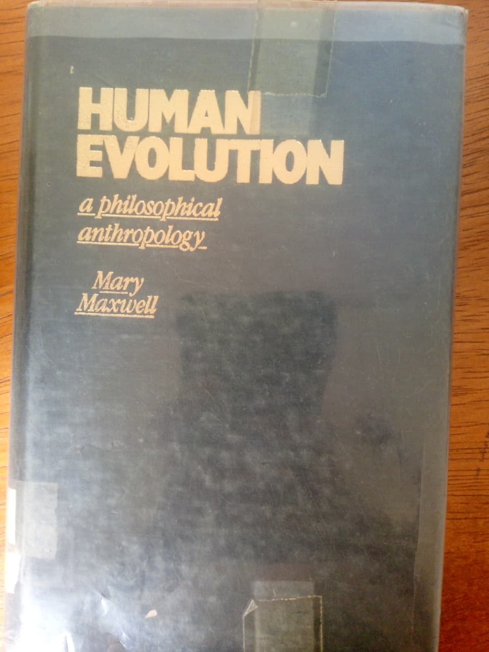 Human Evolution