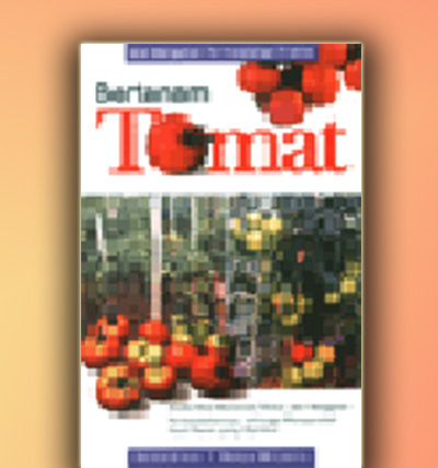 Bertanam Tomat