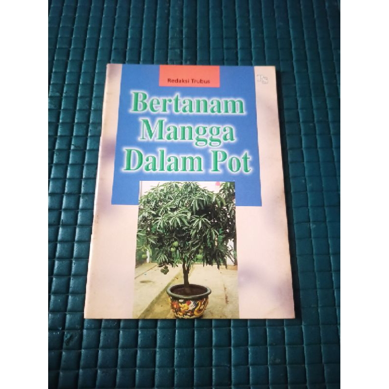 Bertanam Mangga Dalam Pot